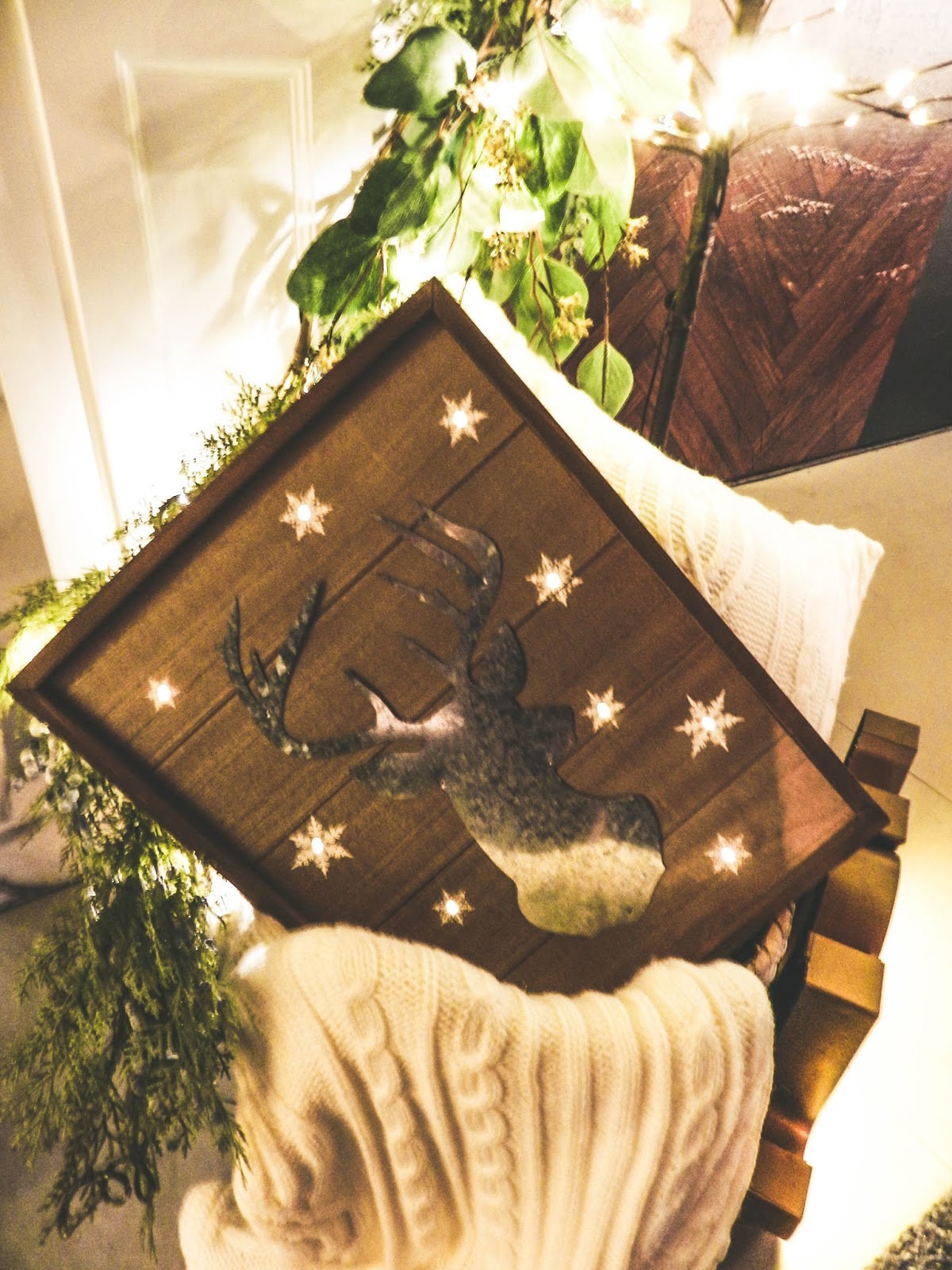 Canadian Tire's CANVAS Fall & Christmas 2017 Launch SelfExplanatori