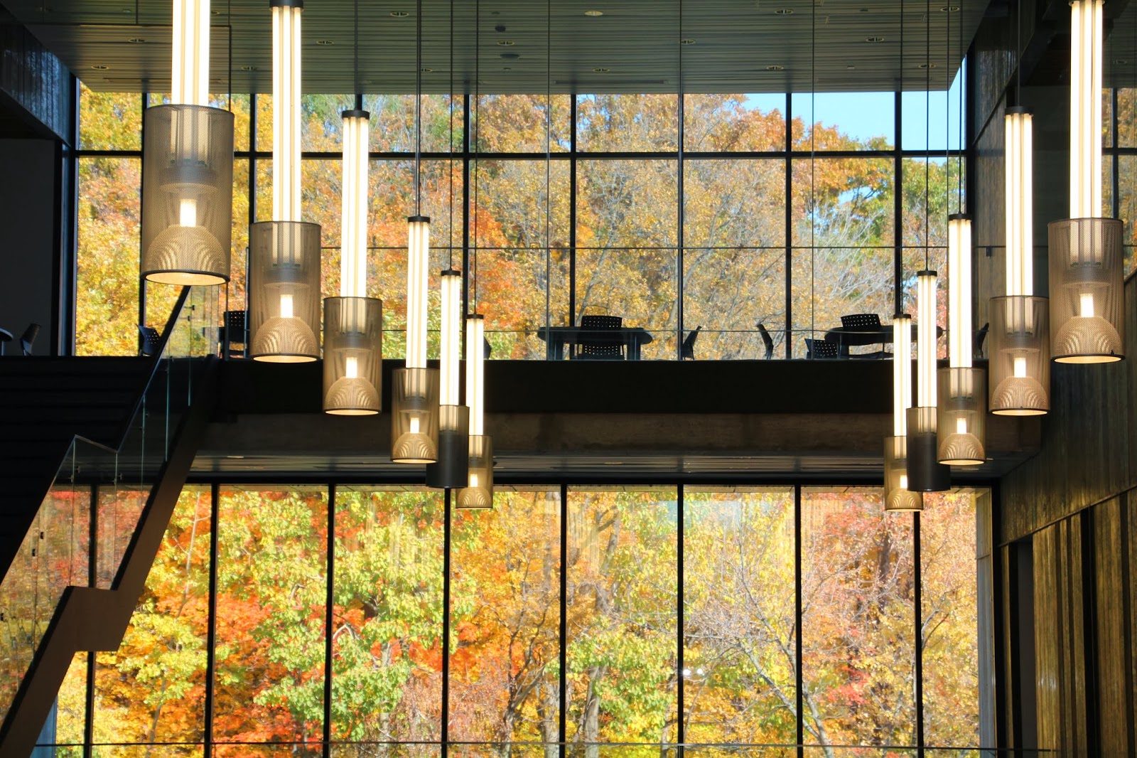 UTM Life Fall Campus Day
