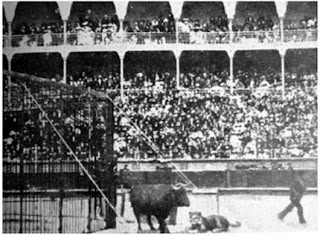 Fuente: https://www.aryse.org/san-sebastian-capital-lucha-entre-un-tigre-un-toro-en-la-plaza-de-toros/ Momento de la escapada de las pobres bestias