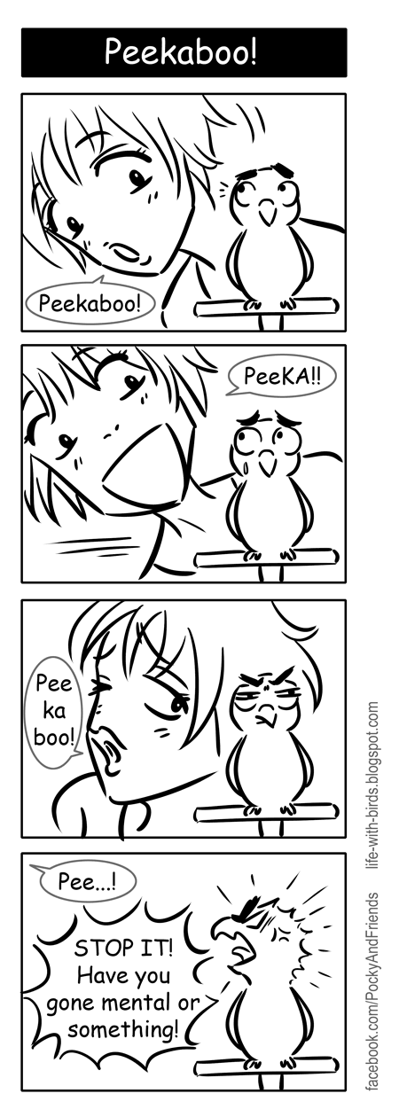 Bird comic strip