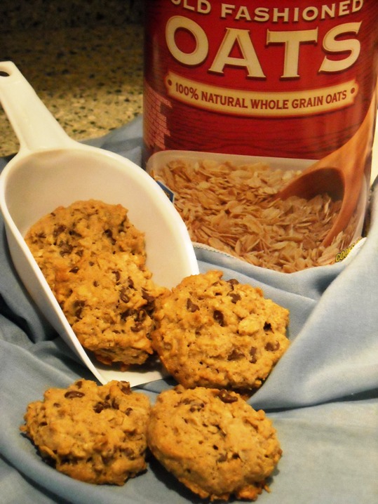 Diabetics Rejoice! Oatmeal Cookies