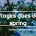 The Ten Stages goes dotcom for spring  a new domain name www. thetenstages.com 