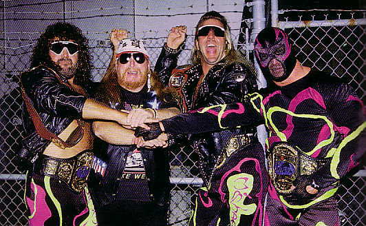 The Wrestling Insomniac: The Fabulous Freebirds in the WWF