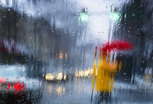 Terungkap! 7 Fakta Yang Terjadi Ketika Turun Hujan Pertama Pada Setiap Musimnya Terungkap! 7 Fakta Yang Terjadi Ketika Turun Hujan Pertama Pada Setiap Musimnya