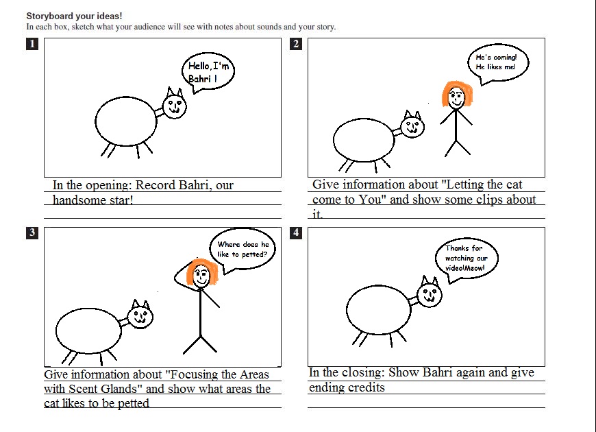 Cats? Digital Storytelling? Am I in Heaven? An Enthusiastic TeachertoBe