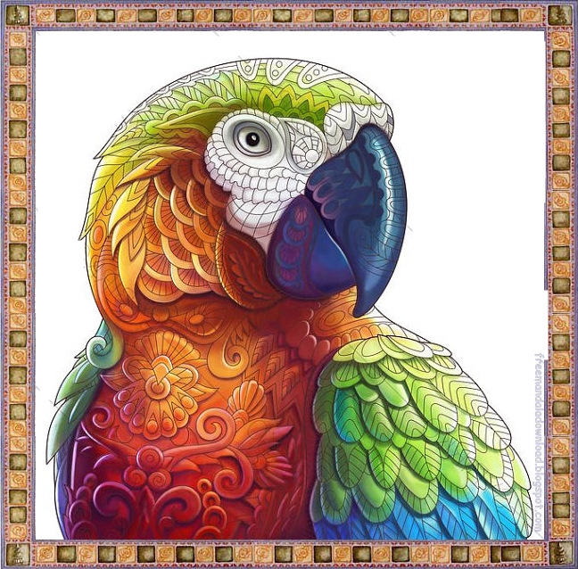 Papagei Mandala ausmalbilder zum ausdrucken-Parrot mandala coloring