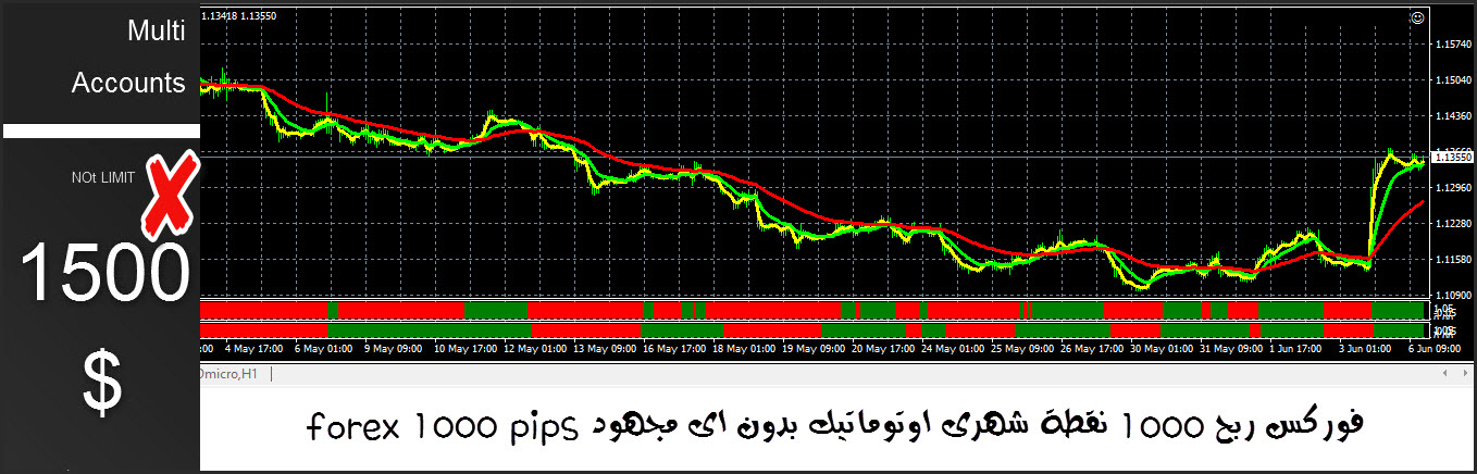 Forex 1000 pips
