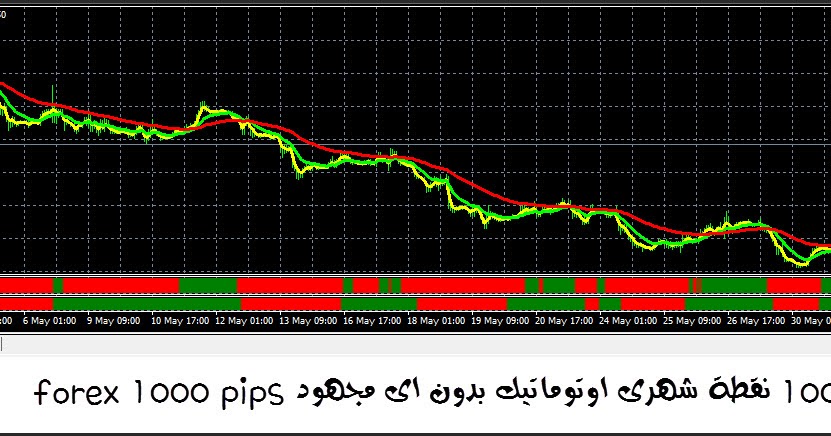 1 pep vs pip forex