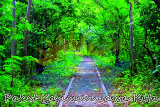jalan tengah hutan pulau panjang jalan tengah hutan pulau panjang