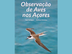Observação de Aves nos Açores