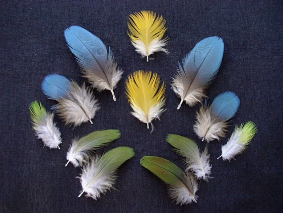 Make Them Wonder: How to use Feathers in Home Decor