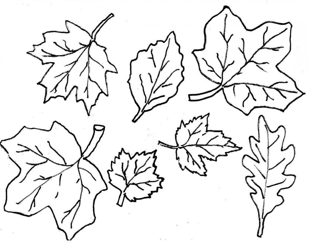 Fall Leaves Coloring Pages 2016 Fall Leaves Coloring Pages 2016