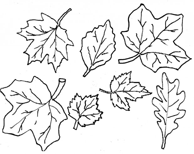 fall leaves coloring pages 2016