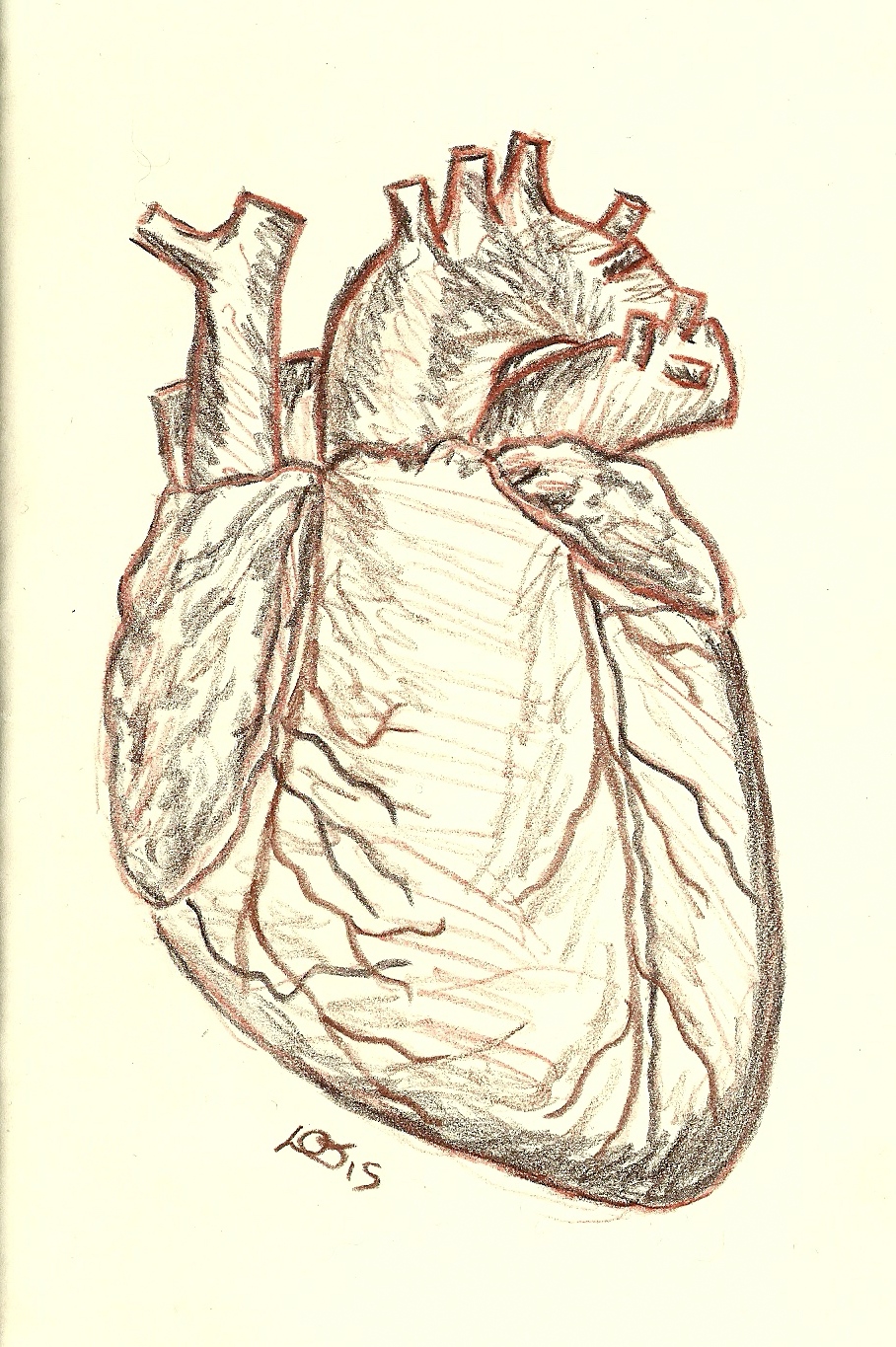 Shrubbery...: Heart in Derwent drawing pencils