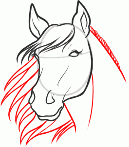 Como dibujar un caballo en pocos pasos