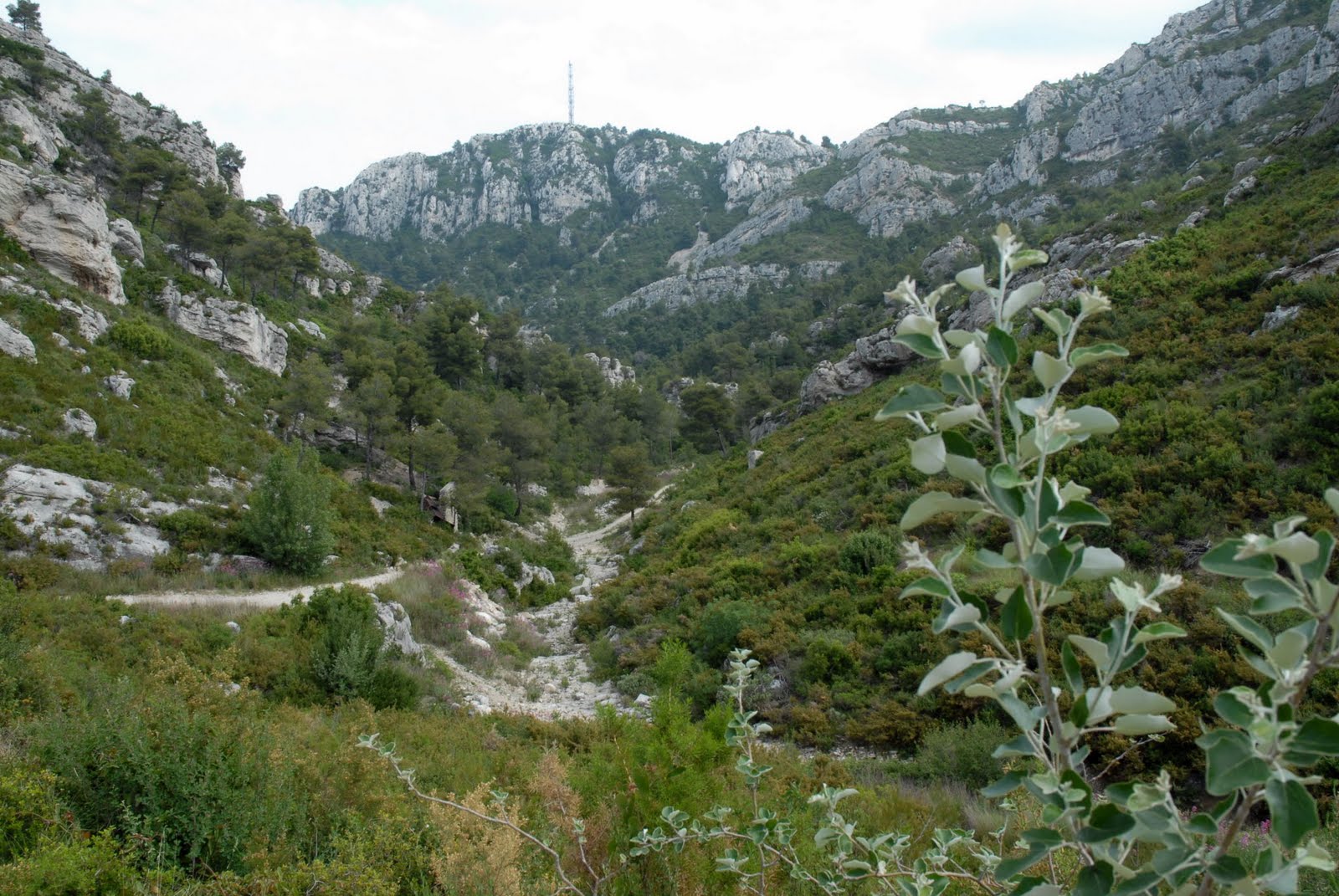 idee randonnee marseille&alpes: VALLON DE LA BARASSE ET DE LUYNANT