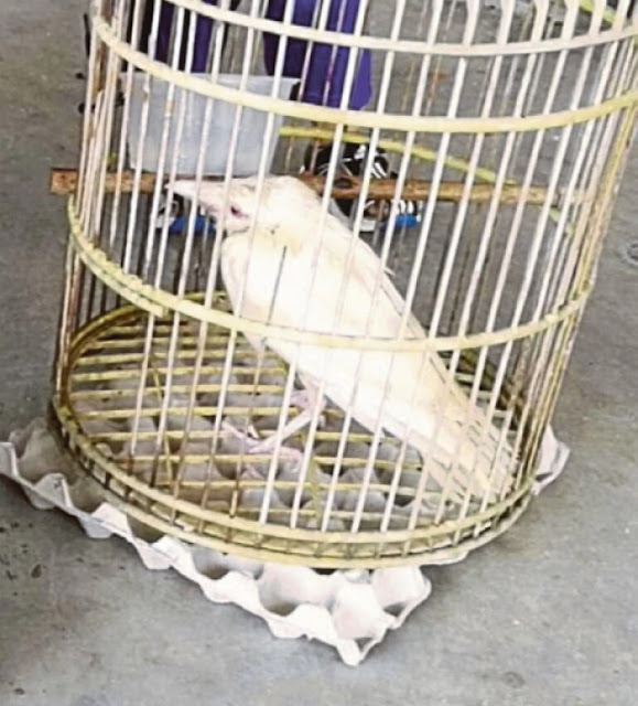 Dikira Hanya Ada dalam Dongeng, Apa yang Ditangkap Bocah Selepas Shalat Jum`at Ini Sungguh Aneh Dikira Hanya Ada dalam Dongeng, Apa yang Ditangkap Bocah Selepas Shalat Jum`at Ini Sungguh Aneh