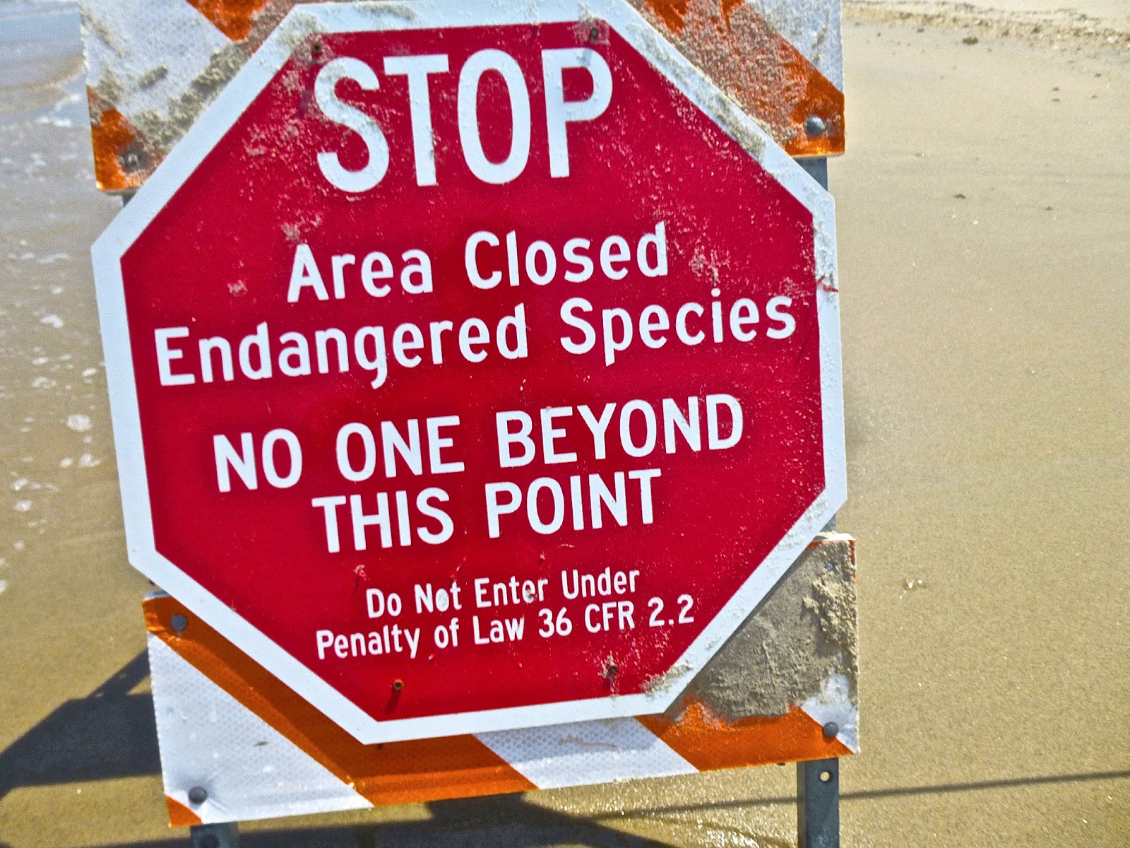 DriveByCuriosity Lifestyle A Trip To Sandy Hook, New Jersey, USA