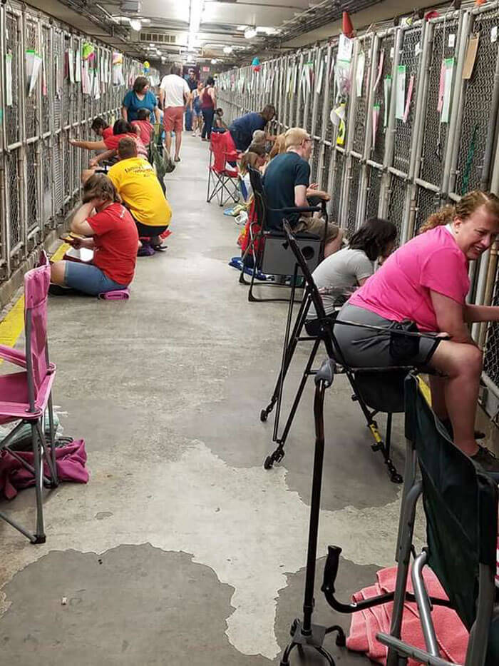 People Skipped The Fireworks On July 4th To Comfort Frightened Shelter Dogs People Skipped The Fireworks On July 4th To Comfort Frightened Shelter Dogs
