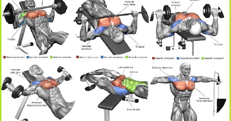 6 Day Chest workout all angles for Gym