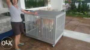Jasa Pembuatan Kandang Anjing Aluminium Dan Stainless Steel