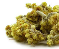 Hormone Balance for Men & Women