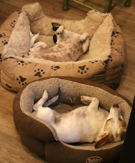 Total commitment to the snooze Total commitment to the snooze