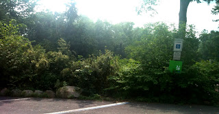 maplefield4 theridgewoodblog