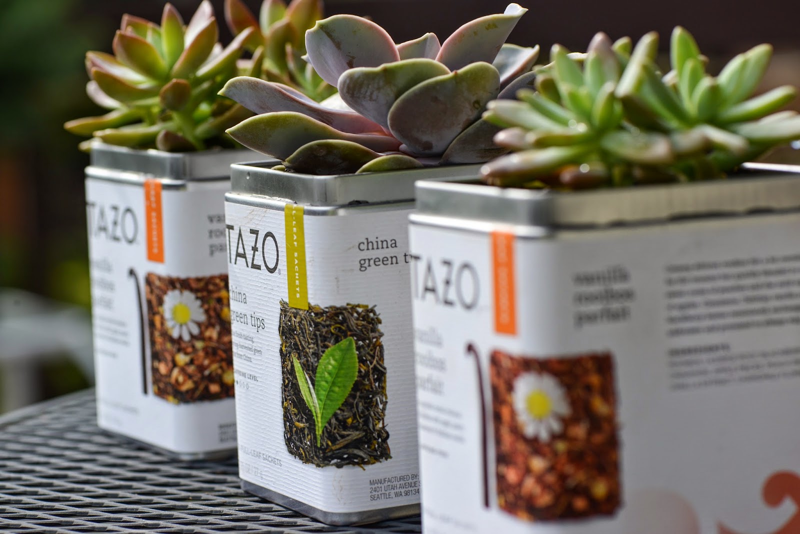 Repurposing Tea Tins