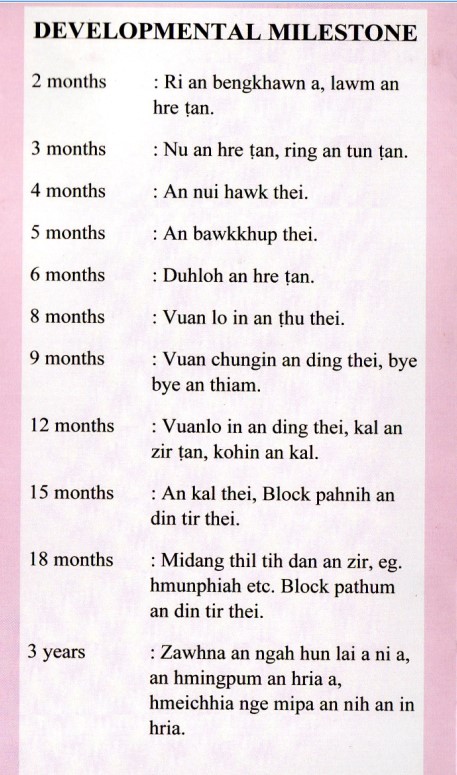 Baby Development Milestones Chart