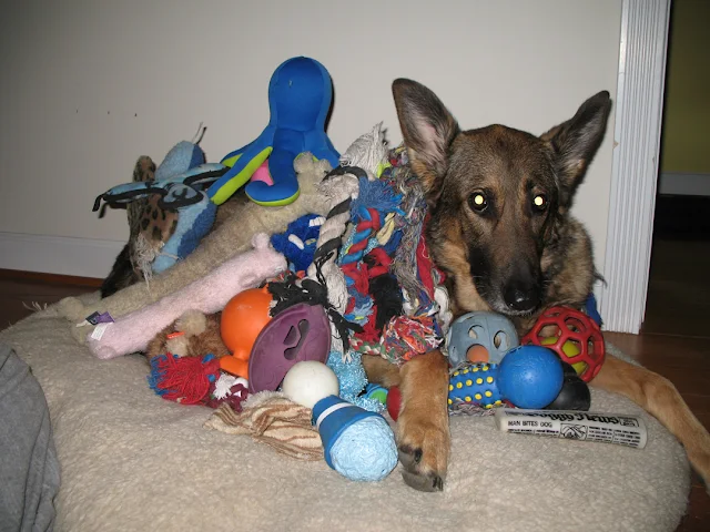 Hailey buried under toys