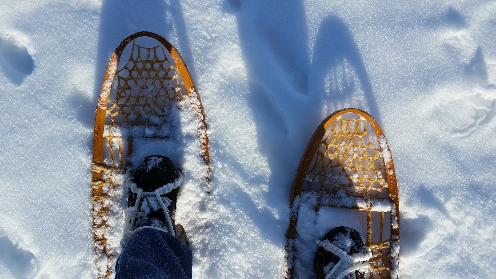 Gumbo Lily Wood & rawhide snowshoes...