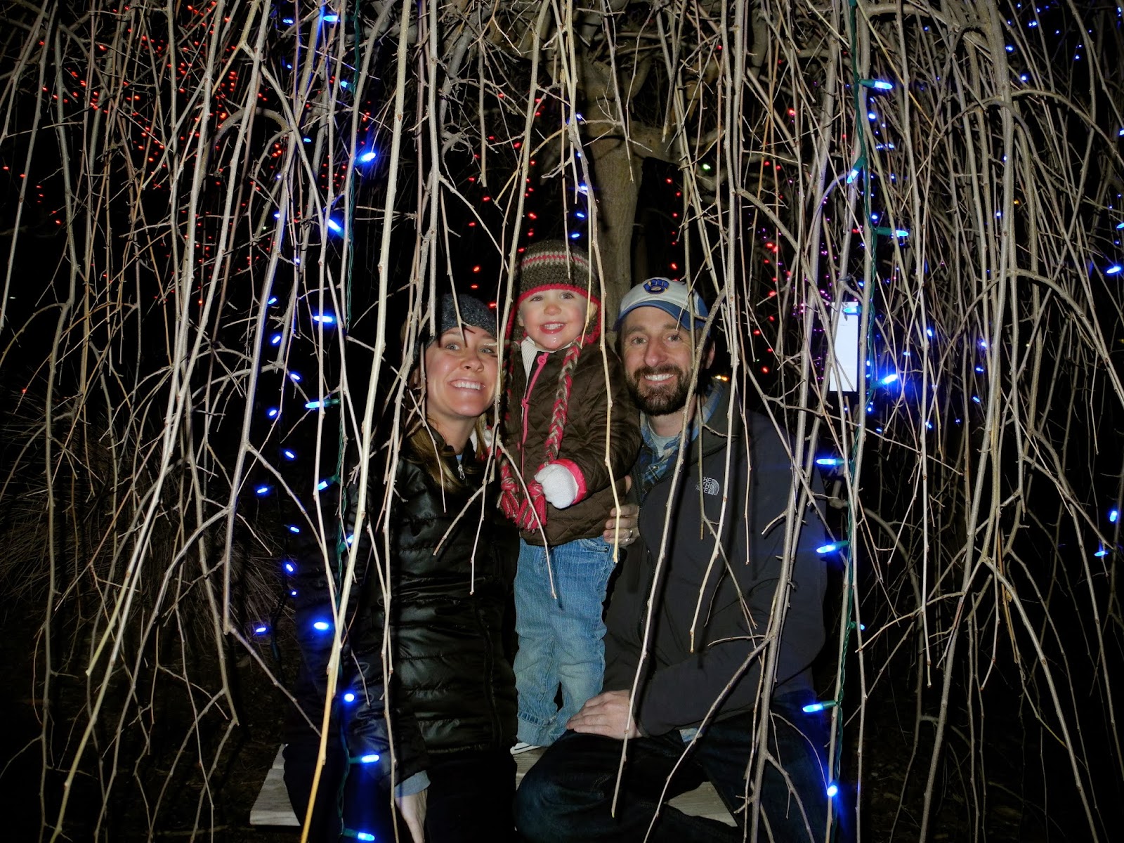 Berken Family: Christmas lights are 