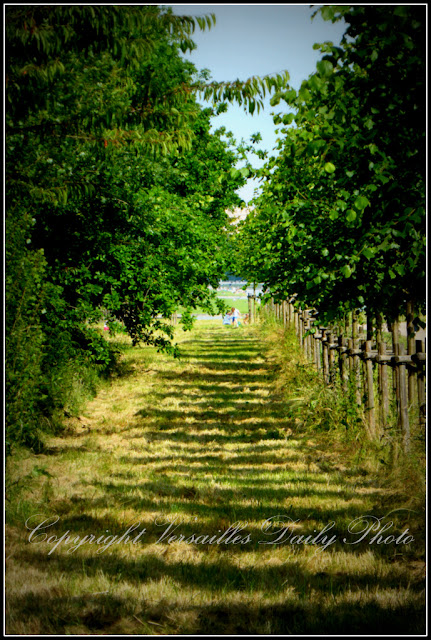 Parc du château de Versailles