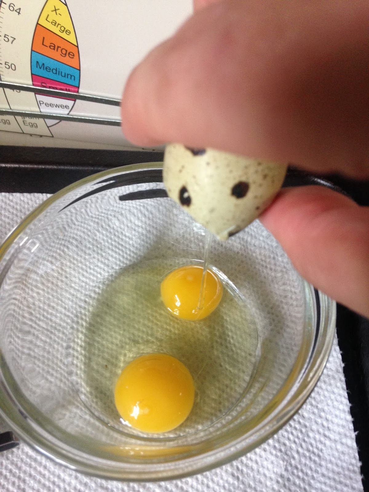 Midnight Acres Farm How to Crack a Quail Egg