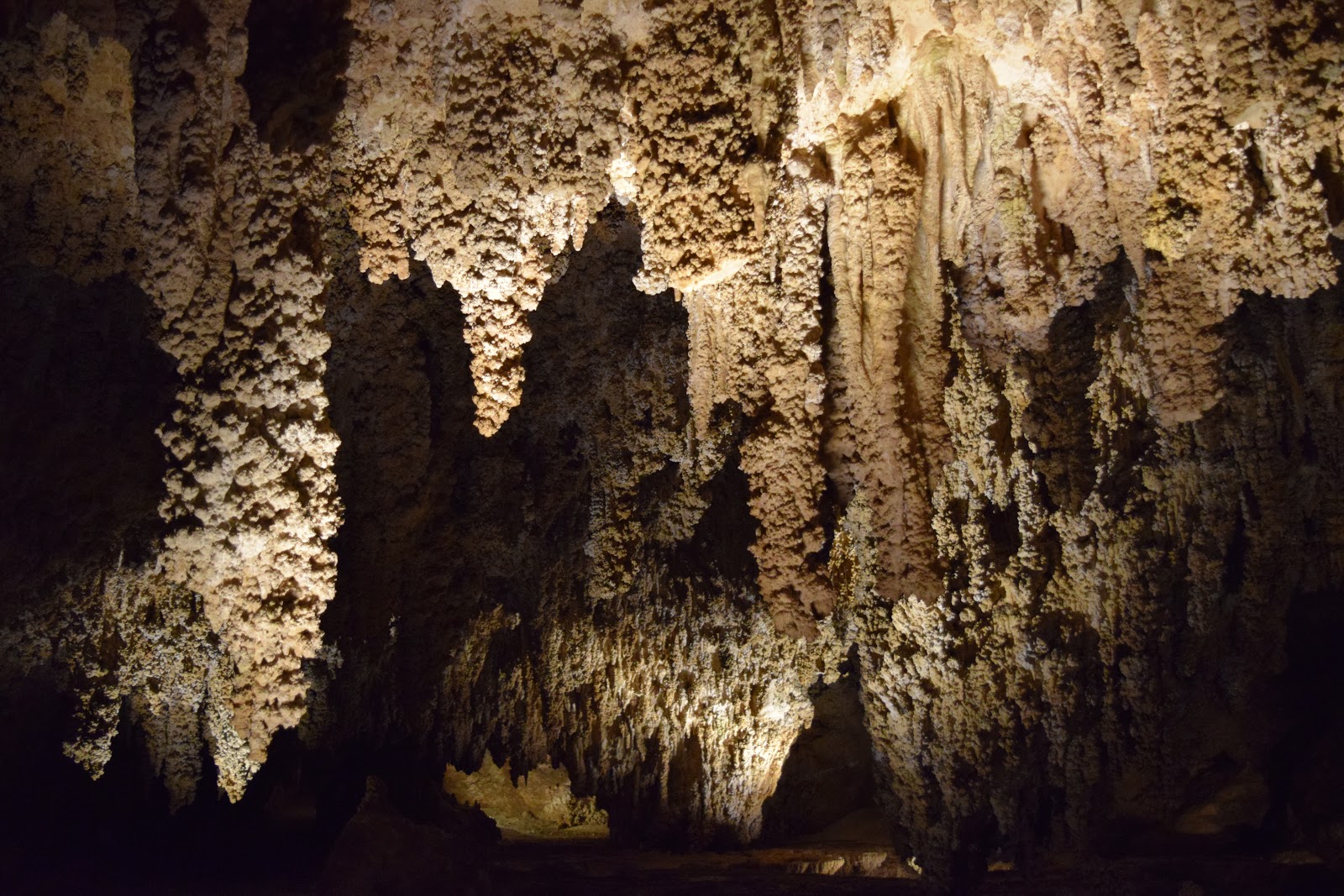 HappiLeeRVing Southern New Mexico Sunshine, Bat Caves and Aliens