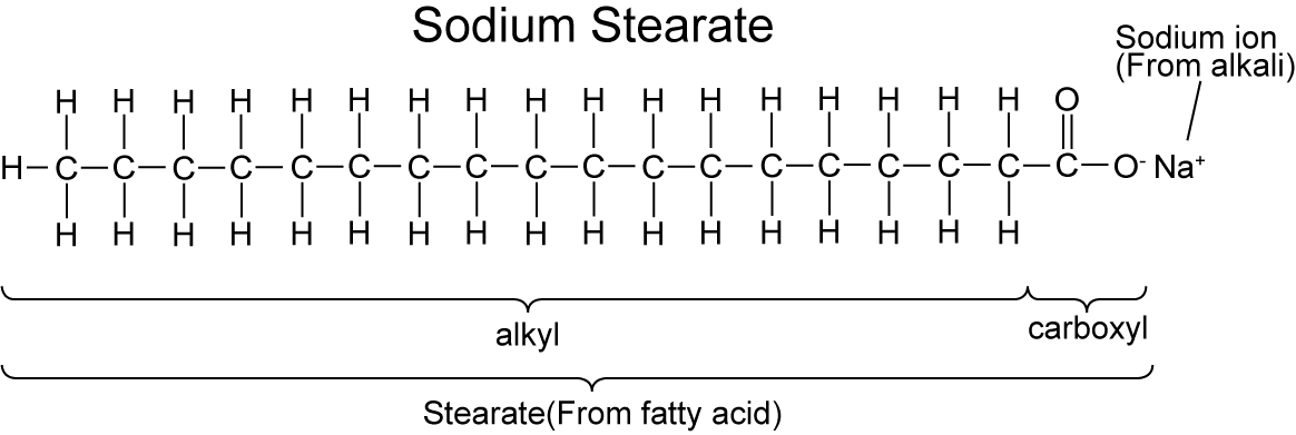 Molekul sabun struktur Bagaimana Sabun