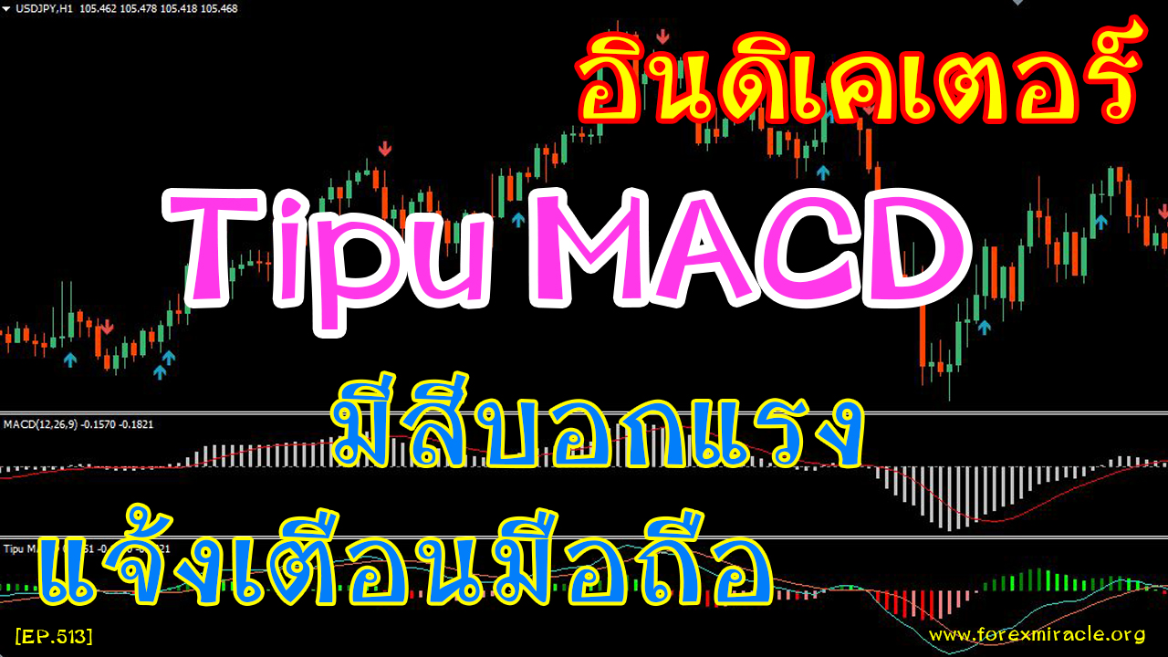 Forex เบื้องต้น