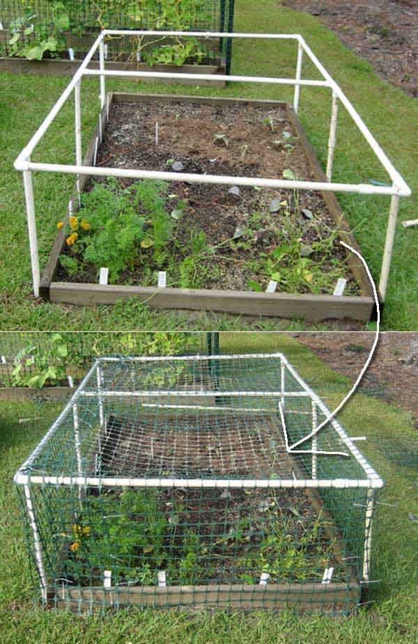 Gardening Projects with PVC Pipes Boo Gardening