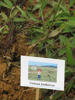 Coisas Judaicas ganhou uma árvore plantada em seu nome Coisas Judaicas ganhou uma árvore plantada em seu nome