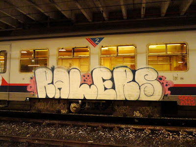 Ralers train