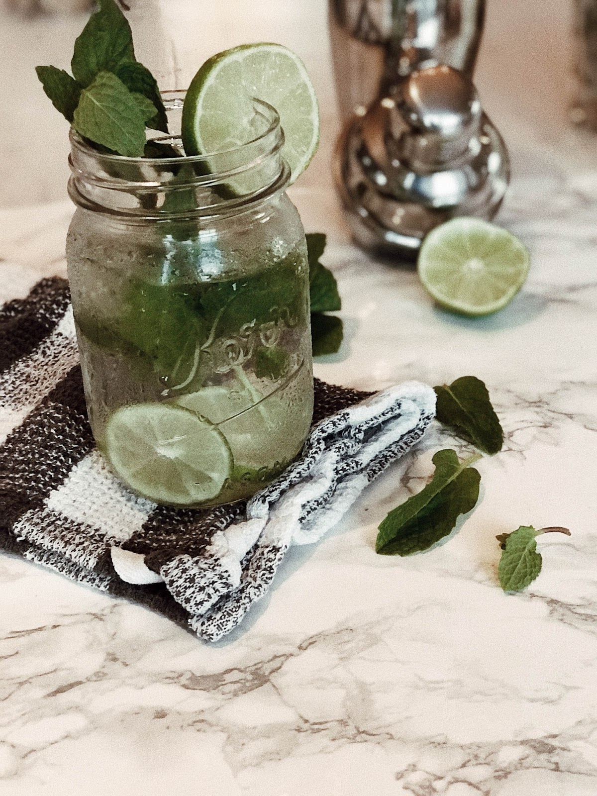 She Went West Mint Vodka Limeade Cocktail