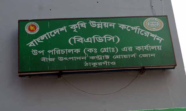 Frustrated Thakurgaon BADC wheat seed farmers হতাশায় ঠাকুরগাঁও বিএডিসি‘র গম বীজ চাষিরা
