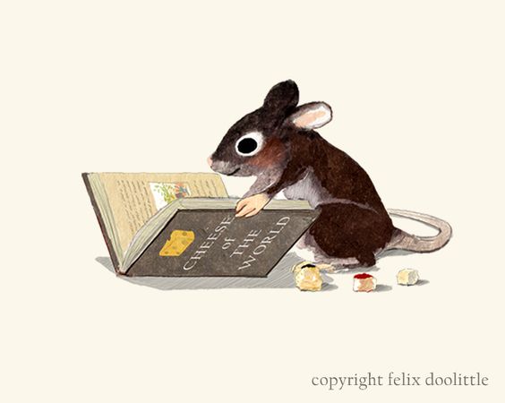 Un dels nostres ratolins ha trobat un bon llibre!