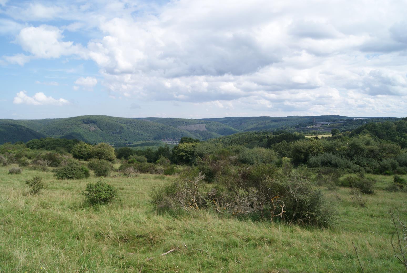 Mulltonnenrennen In Der Eifel Lokalzeit Aachen Lokalzeit