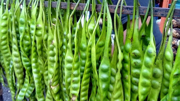 Jenis Bisnis yang Memerlukan Situs Web, Ini Wajib Diketahui!