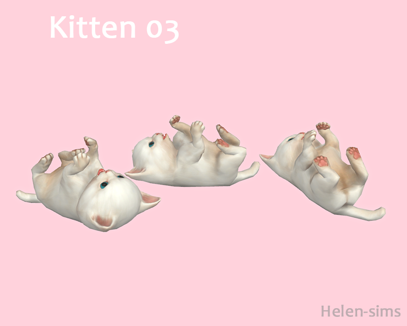 Helensims TS4 Kittens
