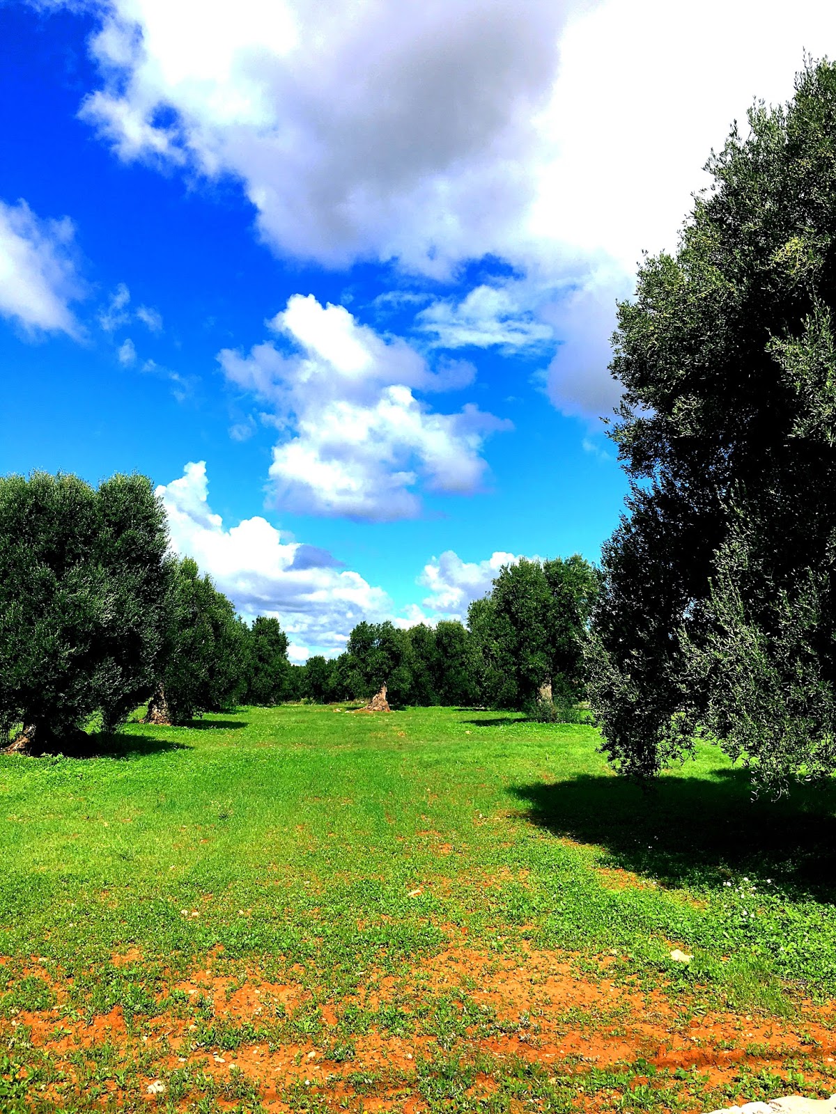 10 Reasons You Need To Visit Puglia Corinna B's World