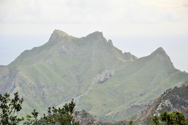 _DSC0241%2B%25282%2529.JPG